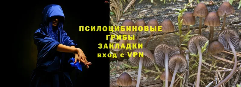 как найти   mega зеркало  Галлюциногенные грибы Cubensis  Улан-Удэ 